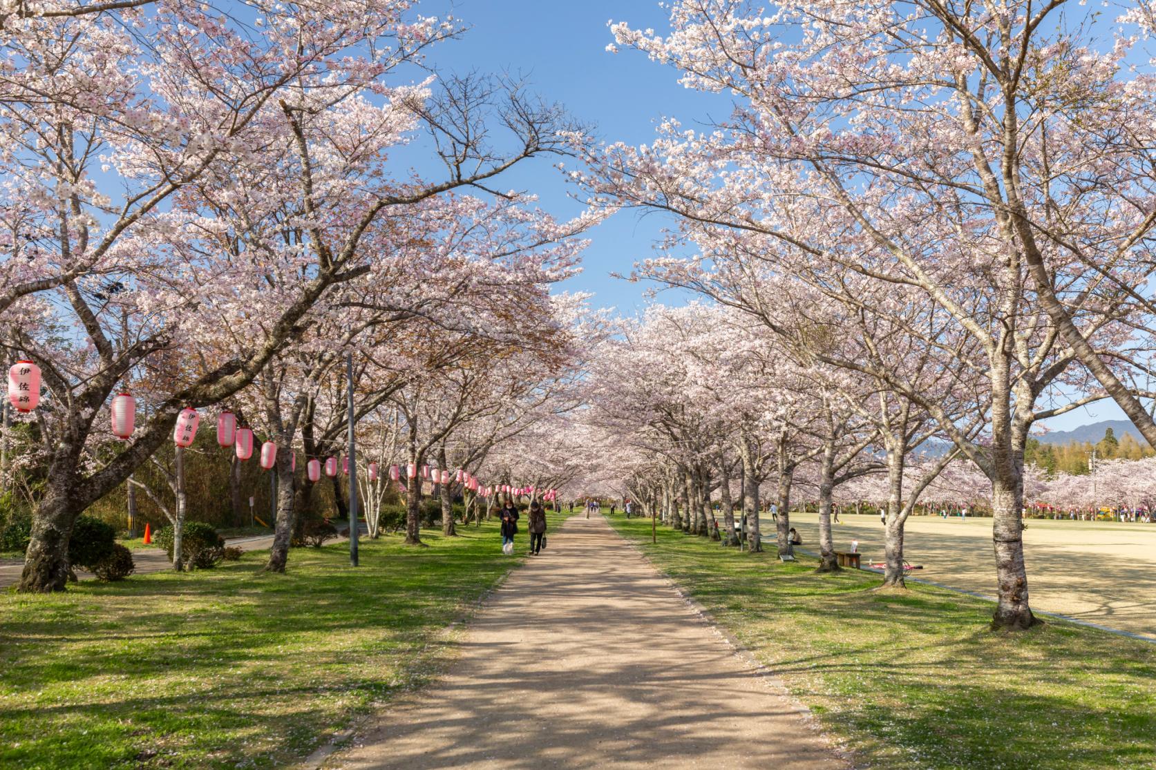 忠元公園