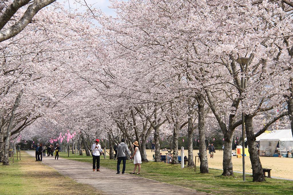  Tadamoto Park 