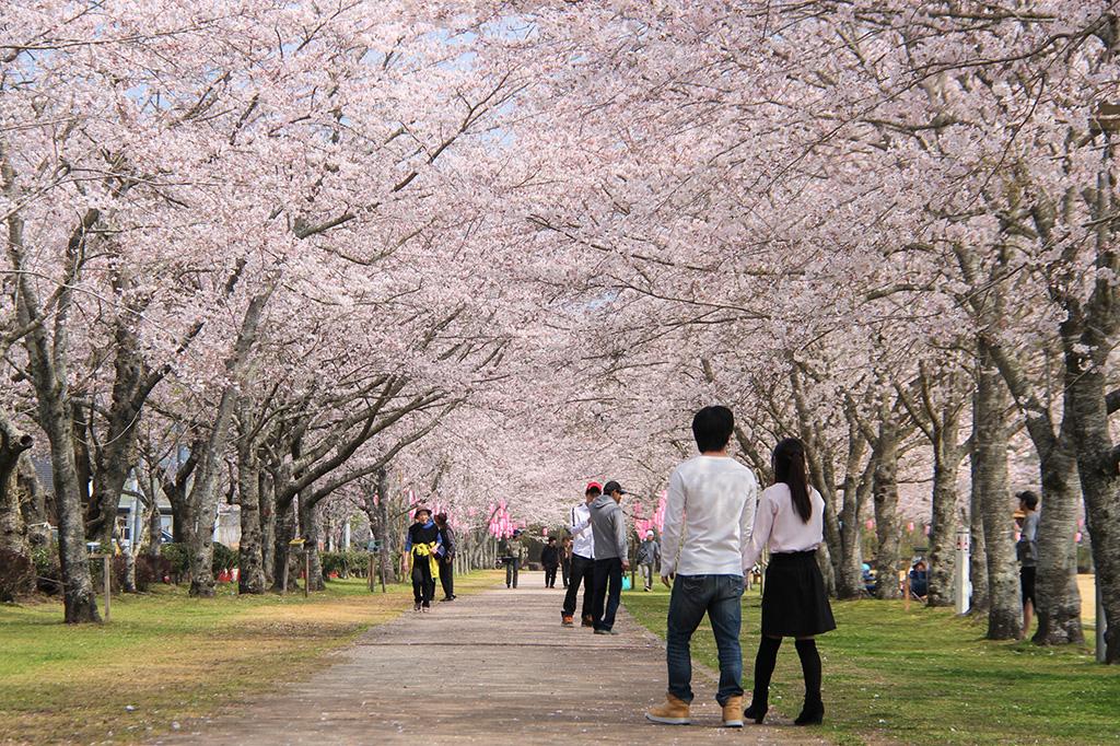 忠元公園-8