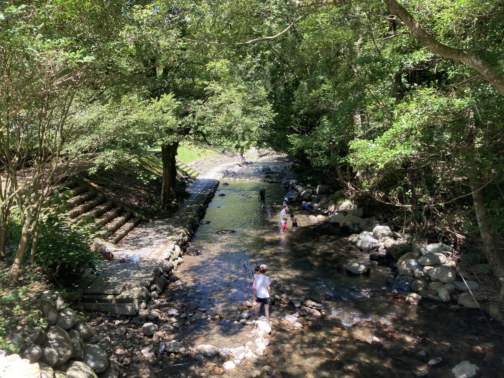 楠本川渓流自然公園-1