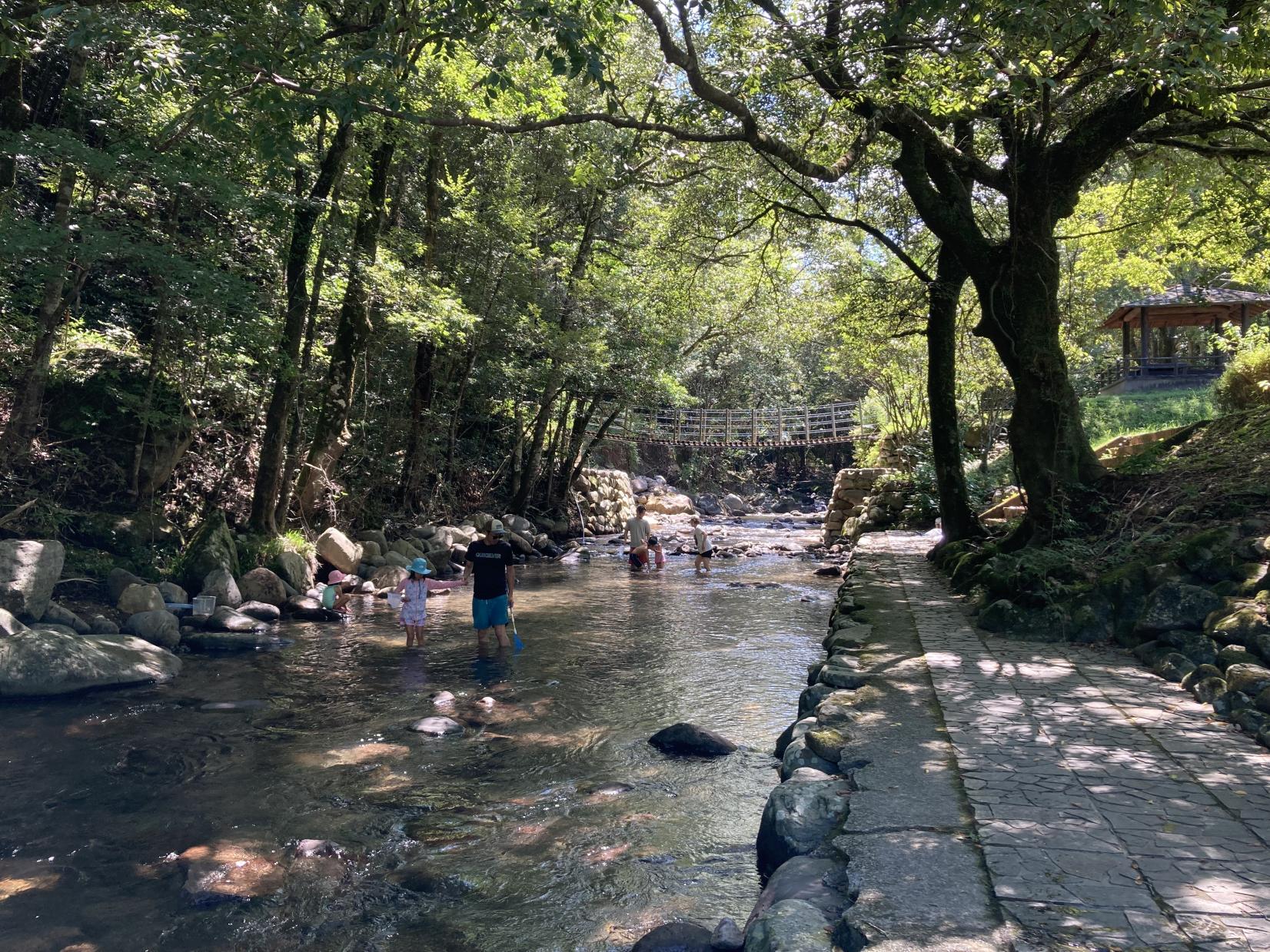 楠本川渓流自然公園-7