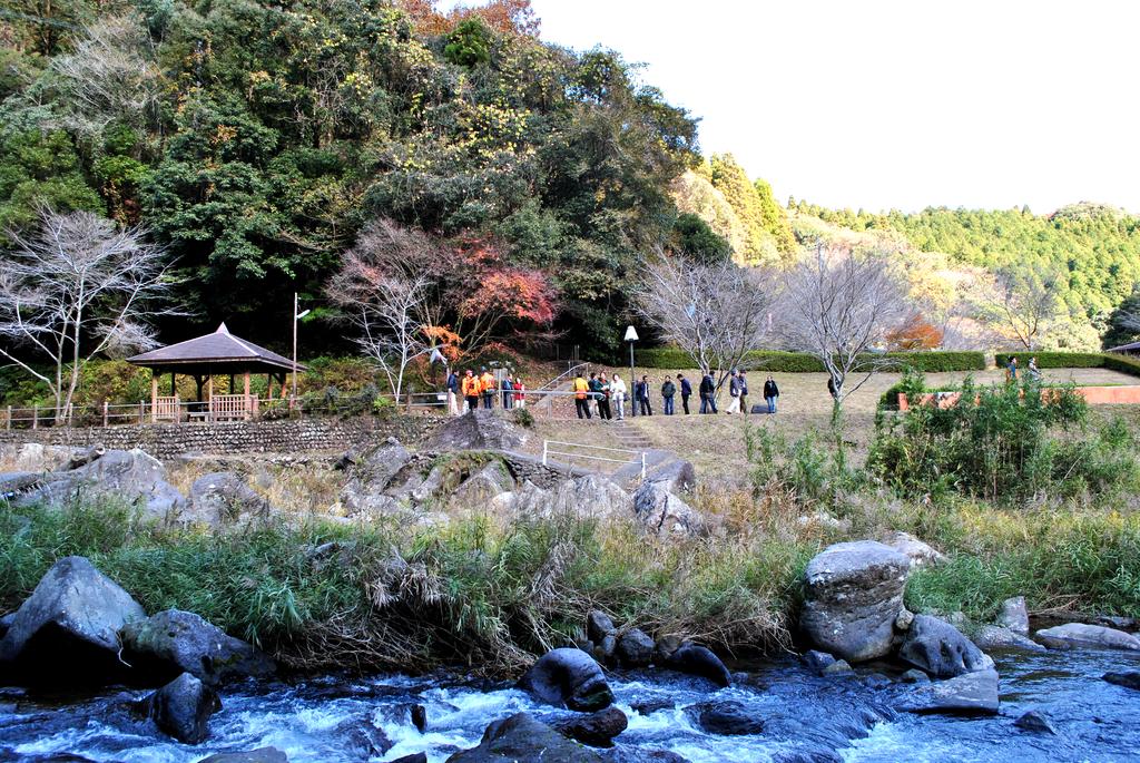 桐原の滝-2