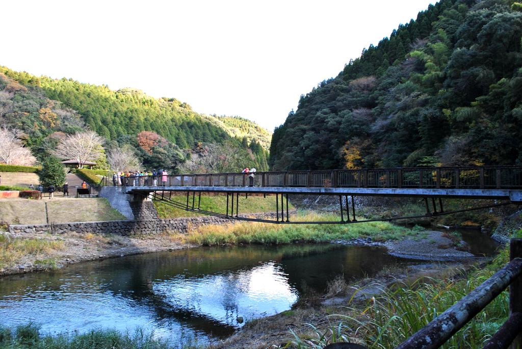 桐原の滝-3