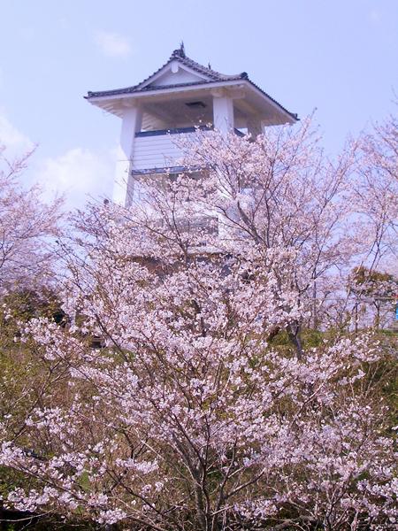 Matsuyama Castle Ruins-2