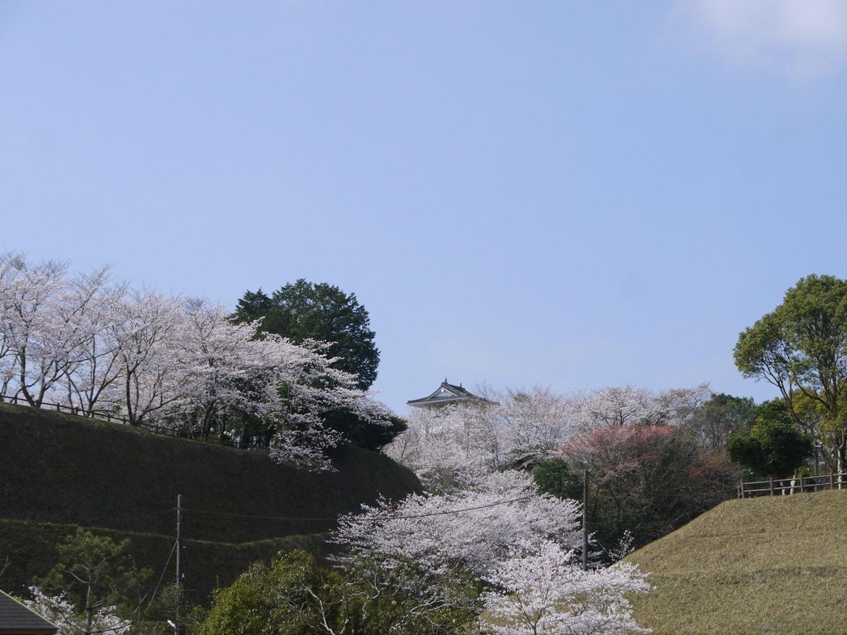 Matsuyama Castle Ruins-1