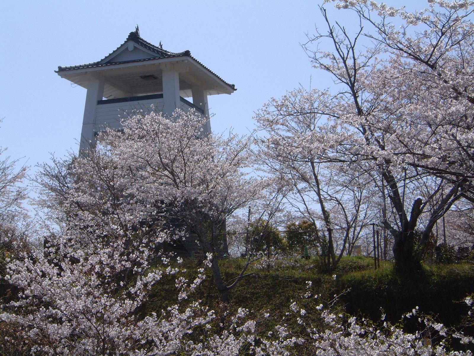 松山城遺址-1