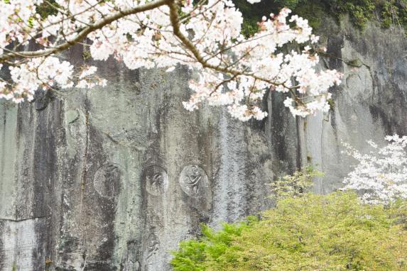 清水岩屋公園・キャンプ場-2