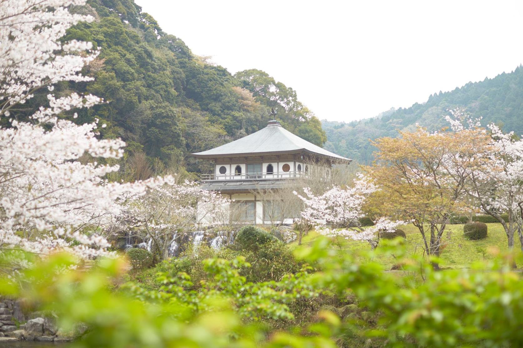 清水岩屋公園・キャンプ場-5