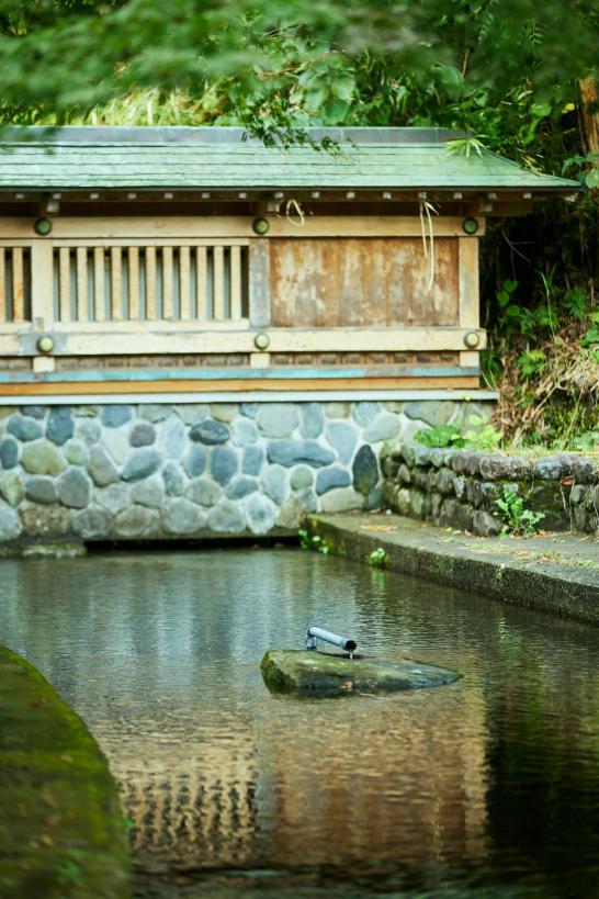清水の湧水-1