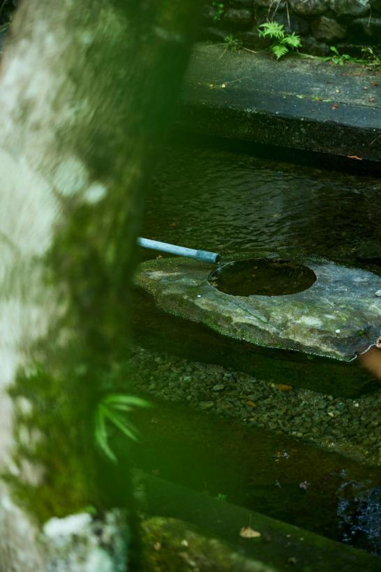 清水の湧水-2