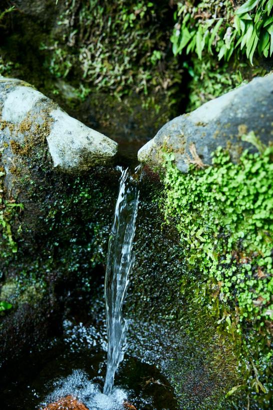 清水の湧水-0