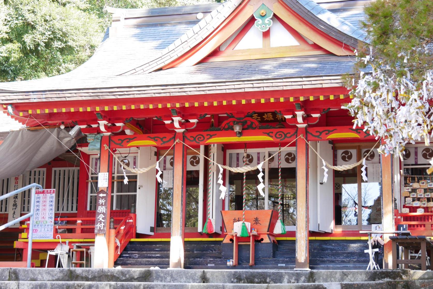豊玉姫神社-1