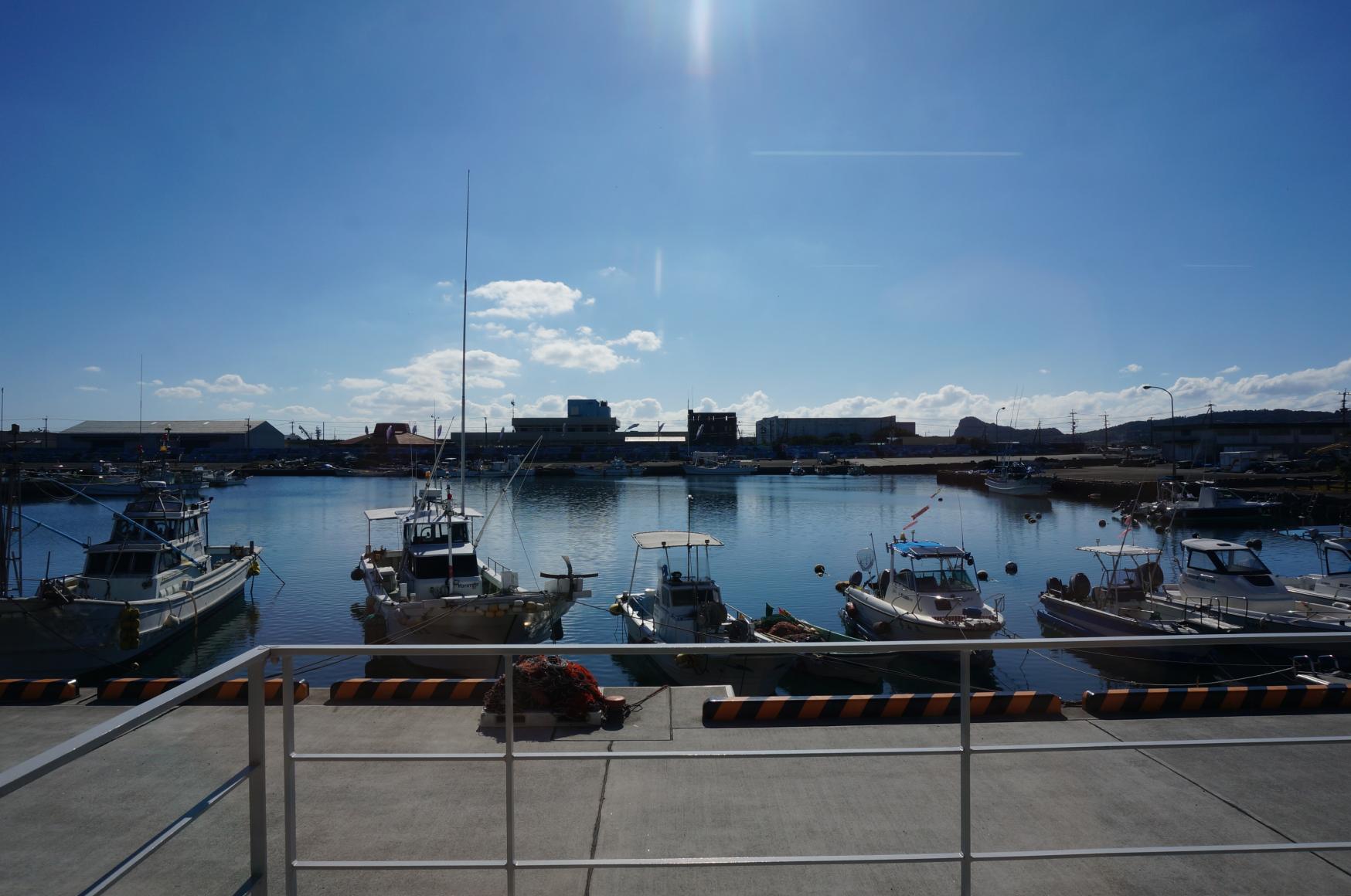 枕崎お魚センター-9