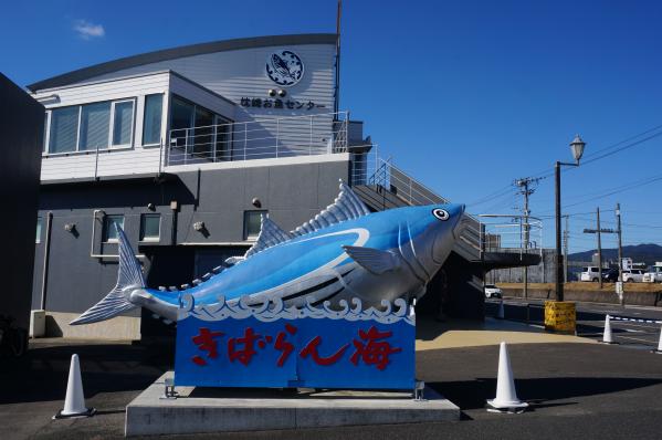 枕崎お魚センター-1