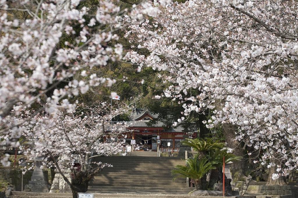 蒲生八幡神社-7