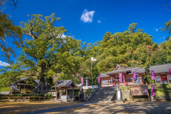蒲生八幡神社-0