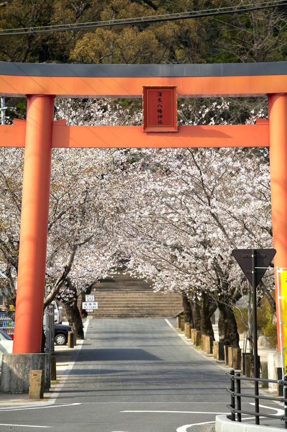 Kamo Hachiman Shrine-9