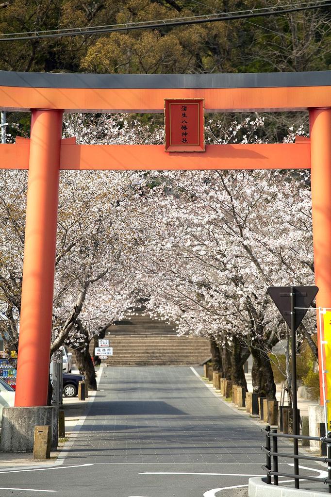 蒲生八幡神社-9