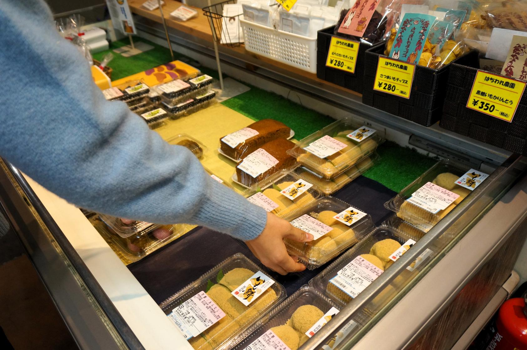 道の駅いぶすき「彩花菜館」-3