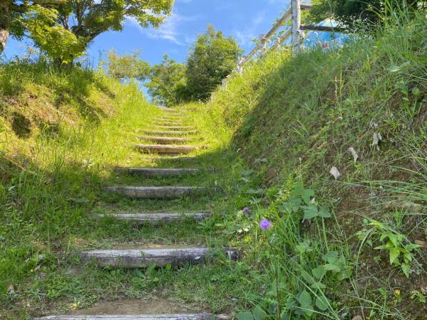 陣岳国際の森-4