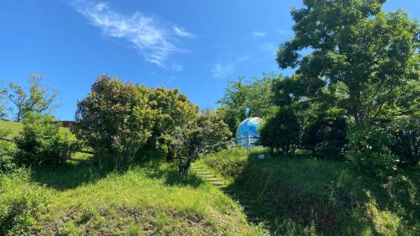 陣岳国際の森-2