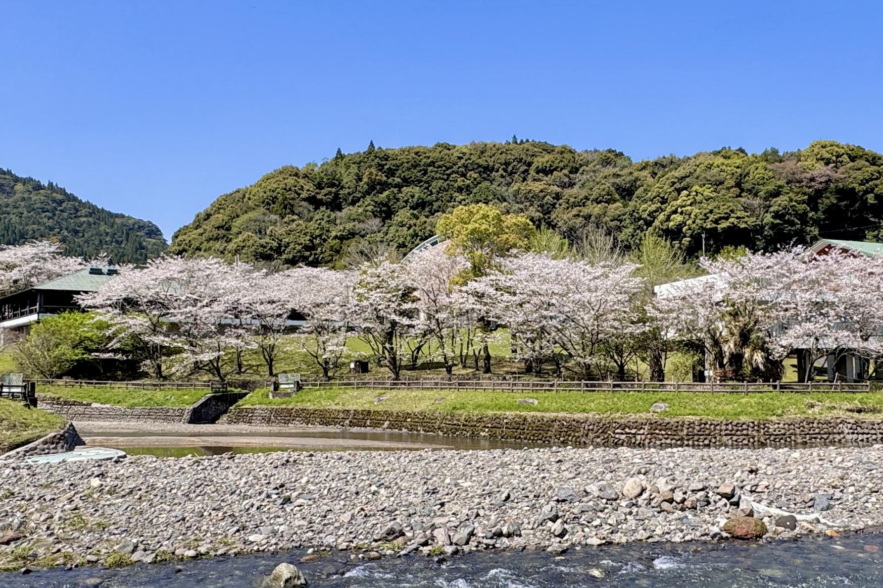 鹿児島県アジア・太平洋農村研修センター (カピックセンター)-2