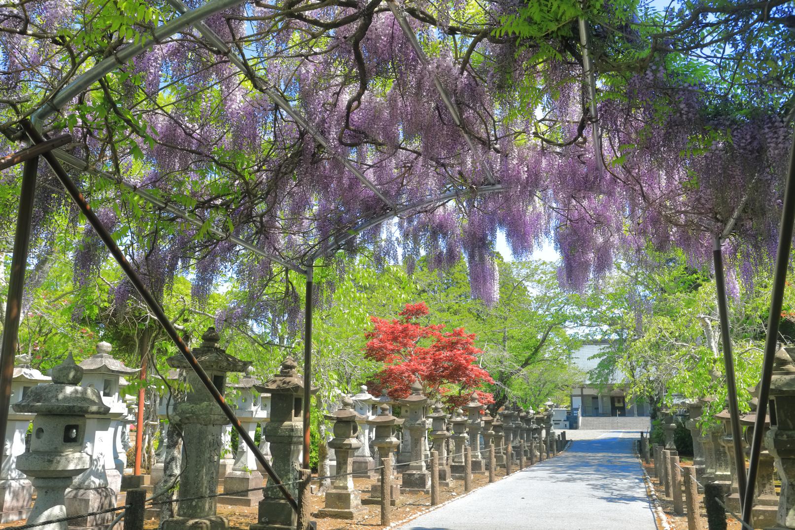 知覧平和公園-8