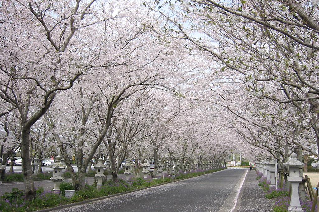 知覧平和公園-1