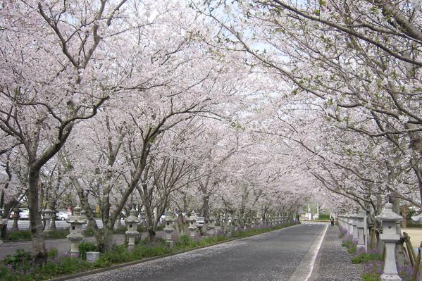 Chiran Heiwa Park-1