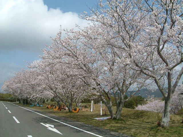 諏訪運動公園-1