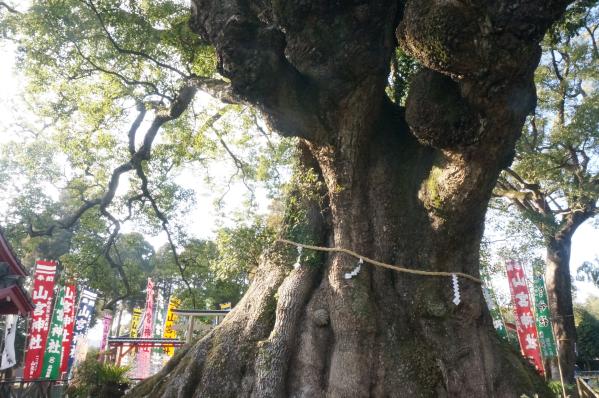 安楽山宮神社（志布志市）-5