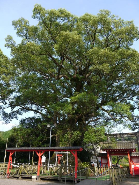 山宮神社（志布志市）-1