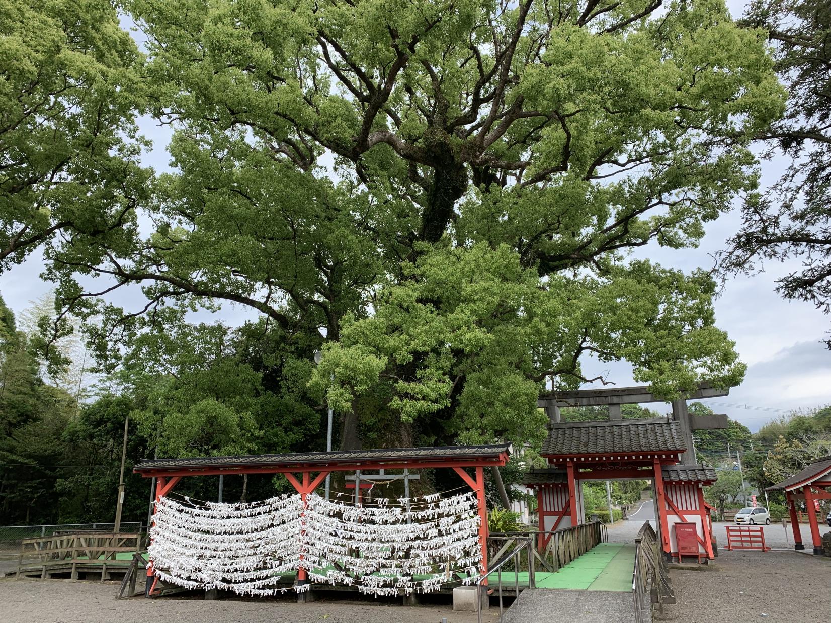 安楽山宮神社（志布志市）-7