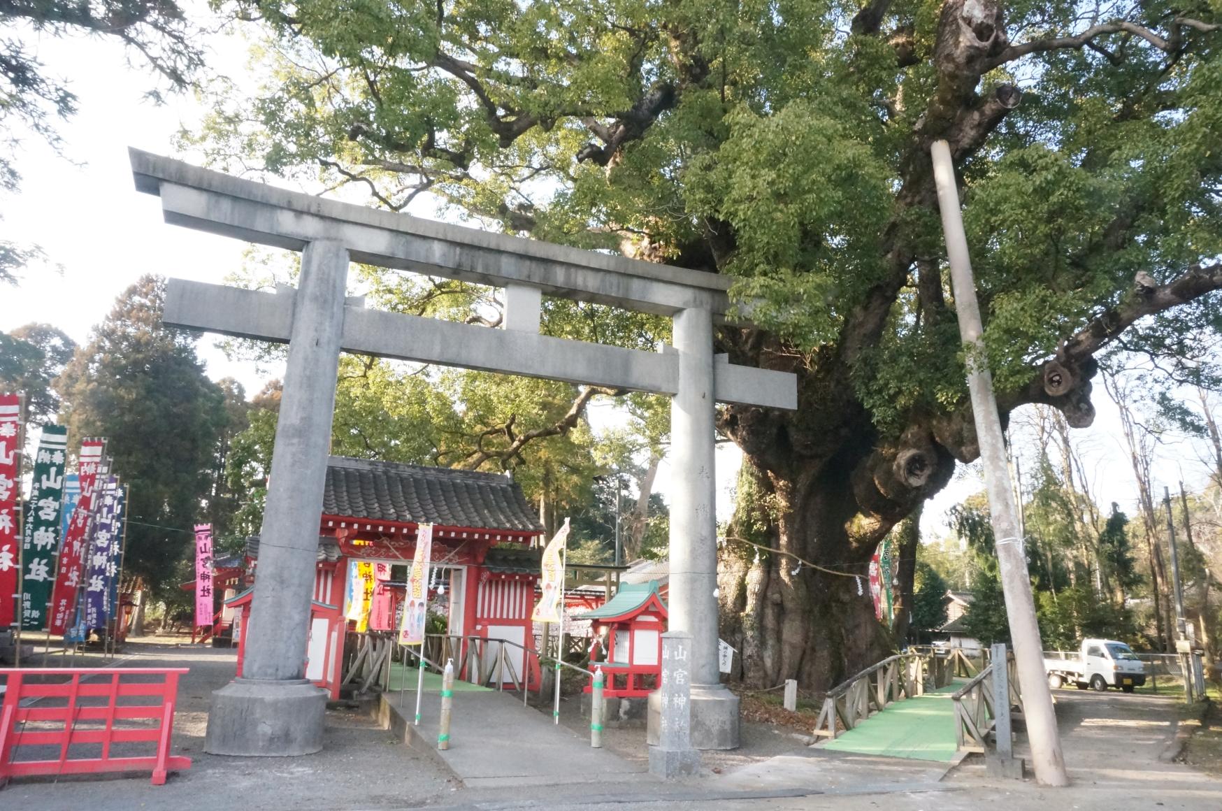 安楽山宮神社（志布志市）-4