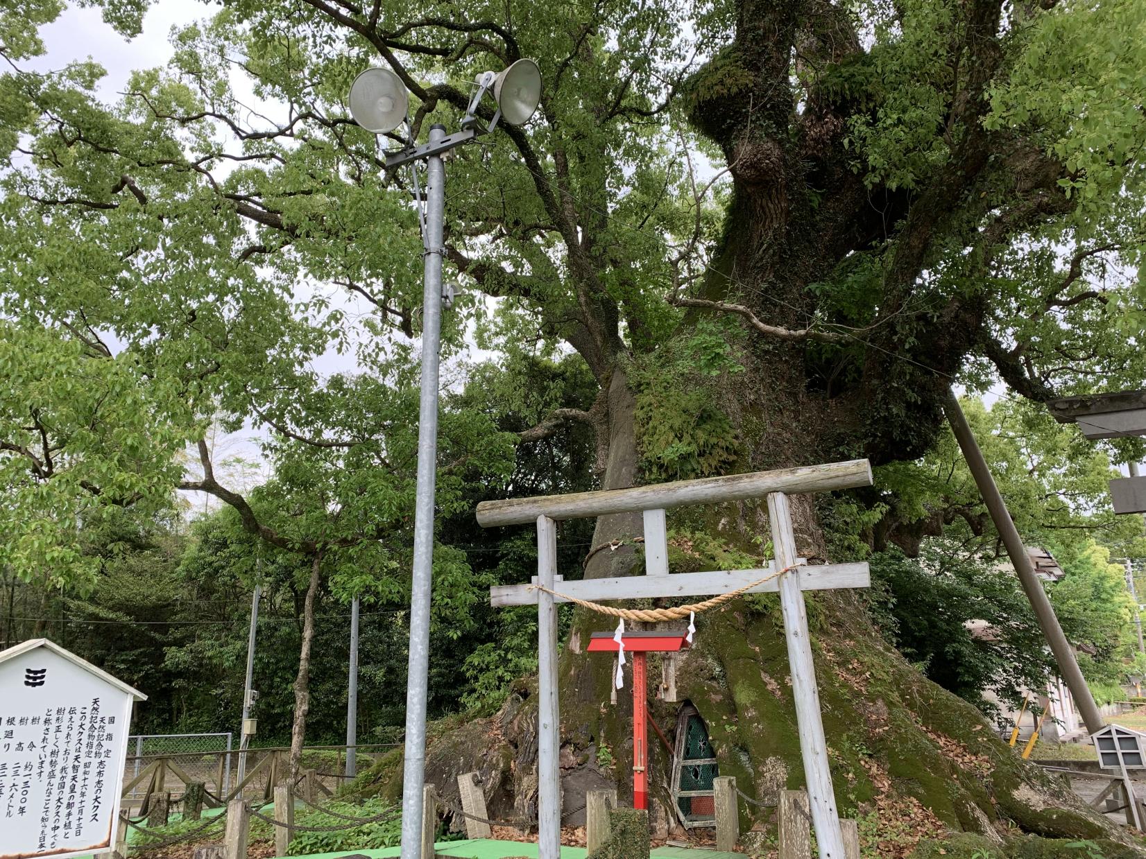 安楽山宮神社（志布志市）-6