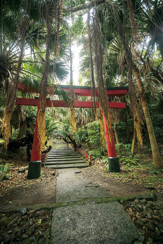 御崎神社-2