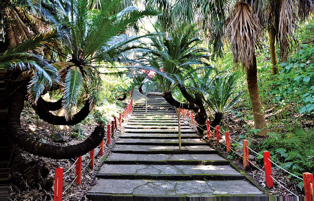 御崎神社-1