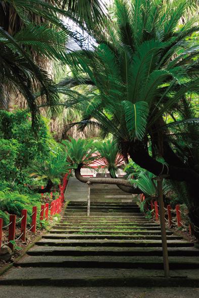 御崎神社-3