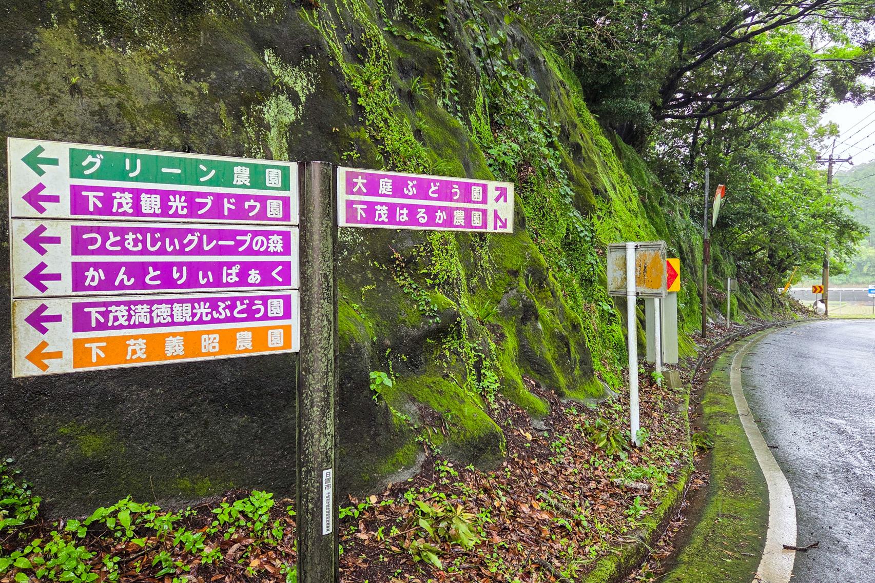 大庭ぶどう観光農園-2