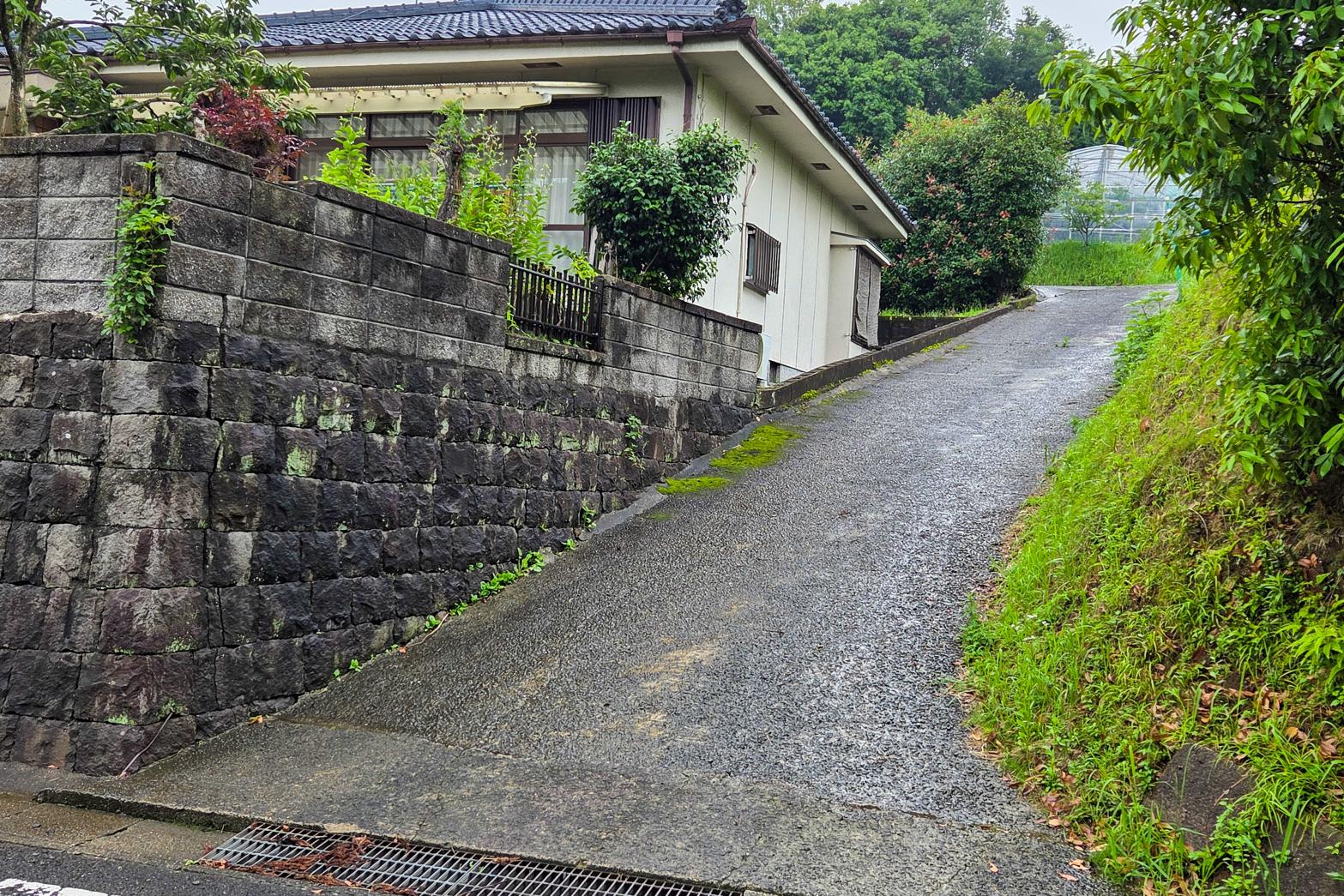 下茂満徳観光ぶどう園-3