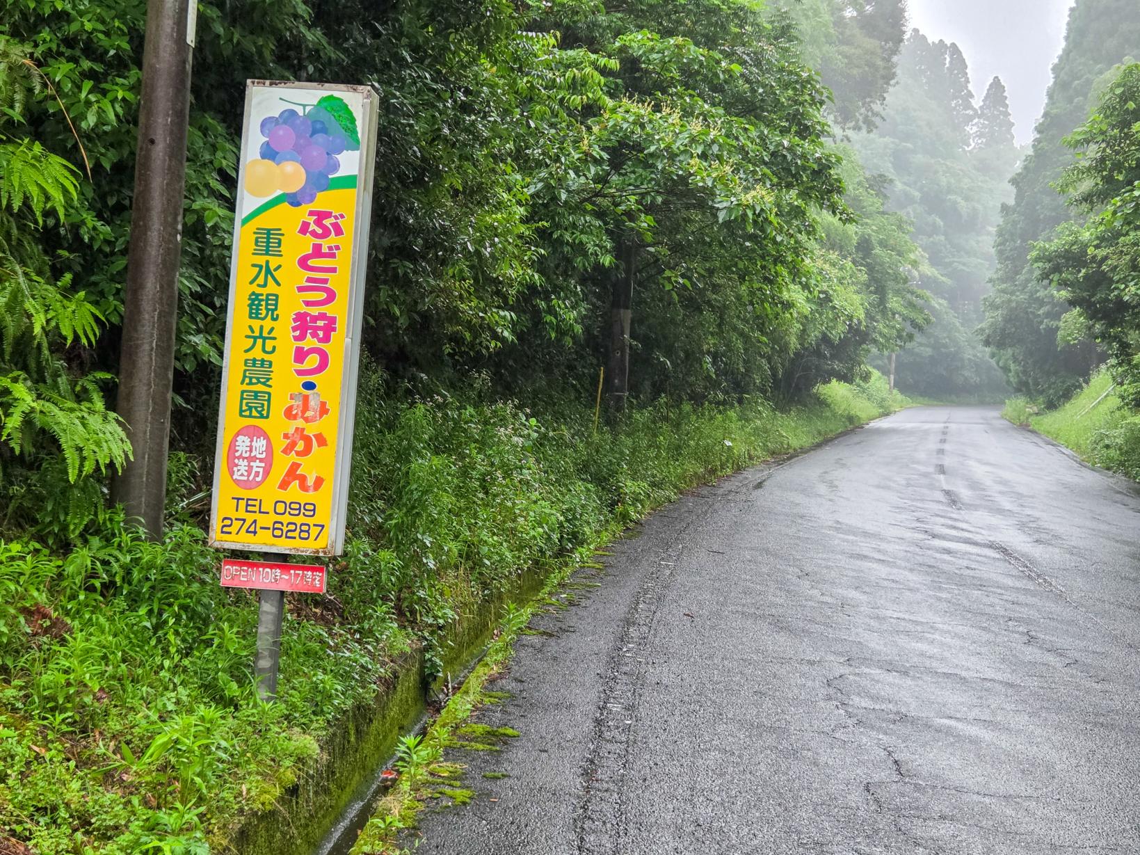 重水観光農園-2