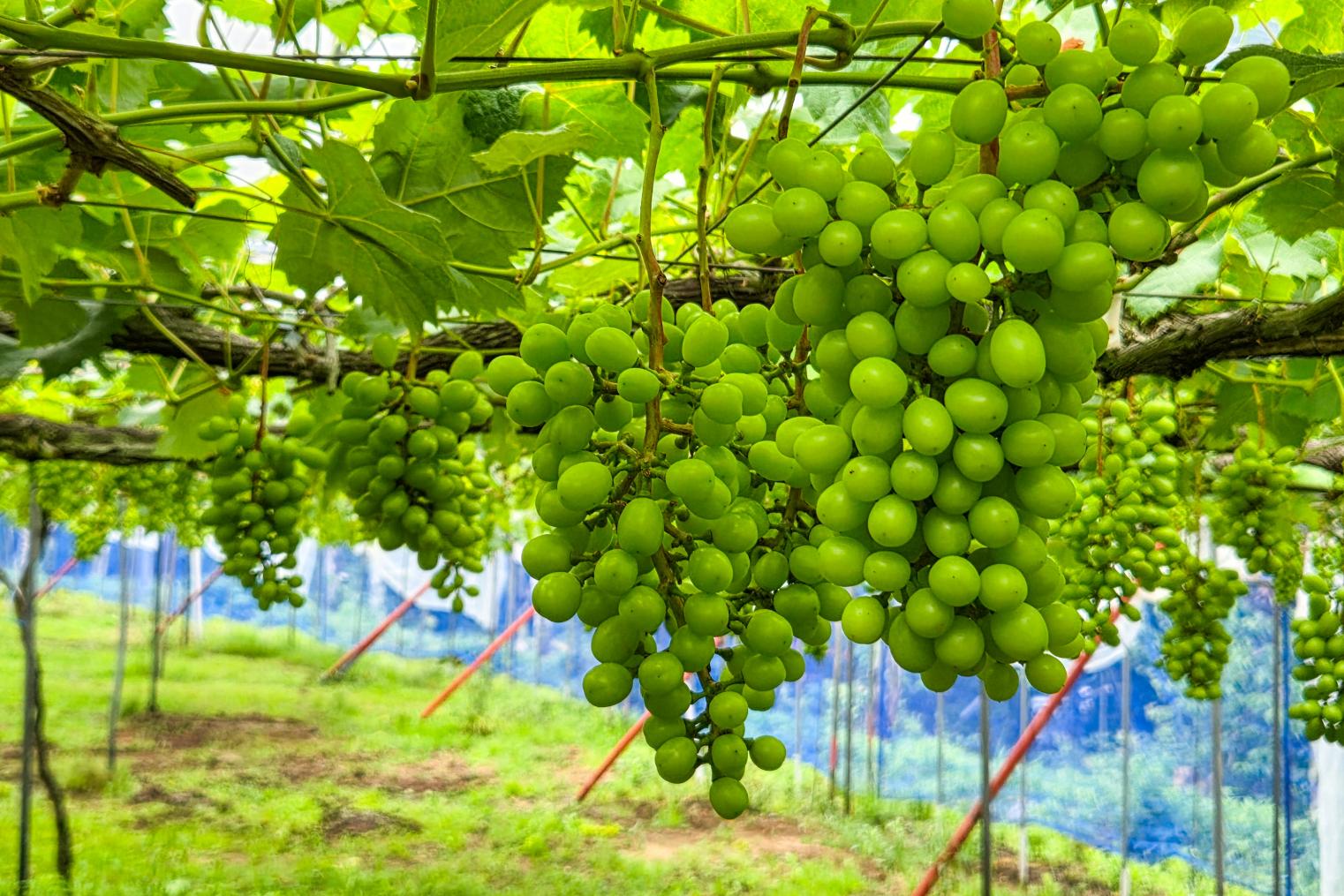 R8・6月現在の状況 1
