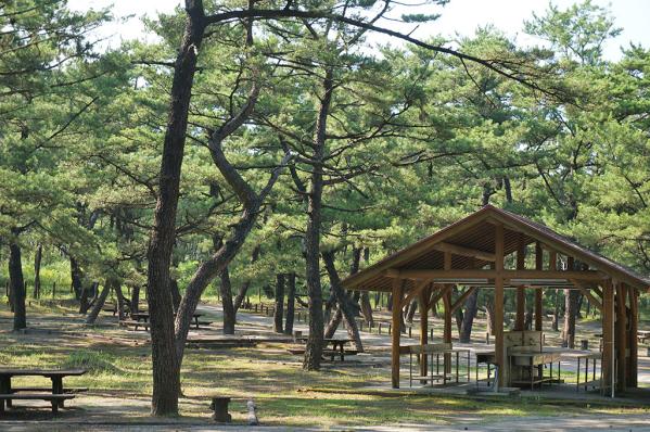 니치난 해안 국립공원 구니노 마쓰바라-0