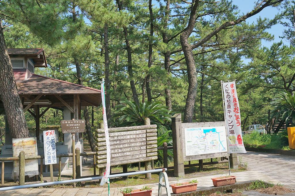 Kuninomatsubara, Nichinan Kaigan Quasi-National Park-8