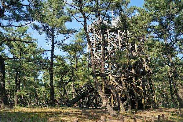 日南海岸國定公園    救仁（kuni)之松原-6