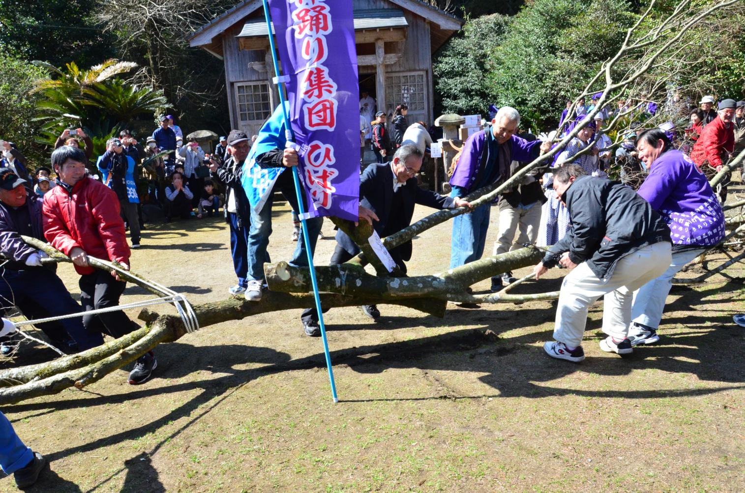 가노야시 쿠시라초 야마미야(山宮) 신사의 봄 축제 타우치(논 갈기) · 카기히키(나무싸움), 정월 춤-3