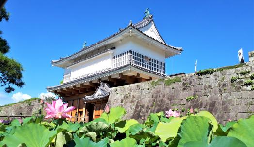 鹿児島城（鶴丸城）御楼門-4