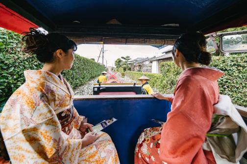 Izumi Oxcart Rides-4