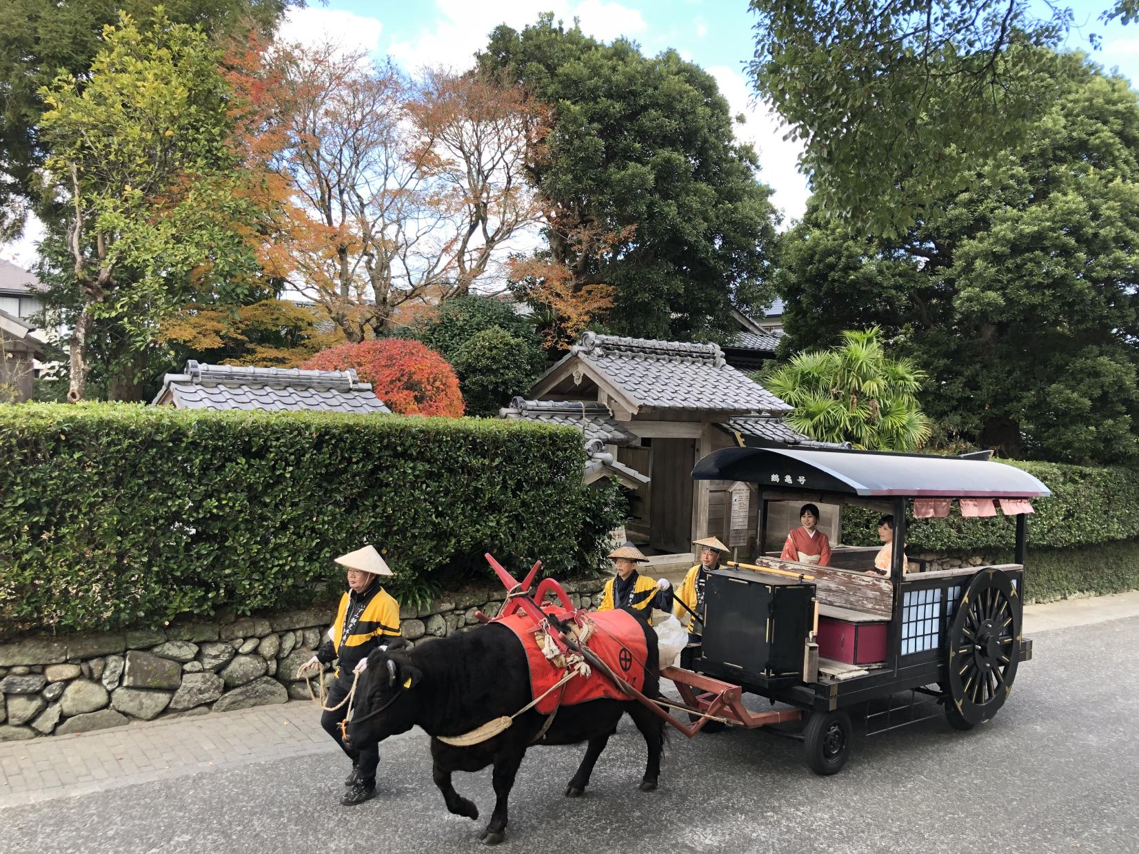 Izumi Oxcart Rides-6