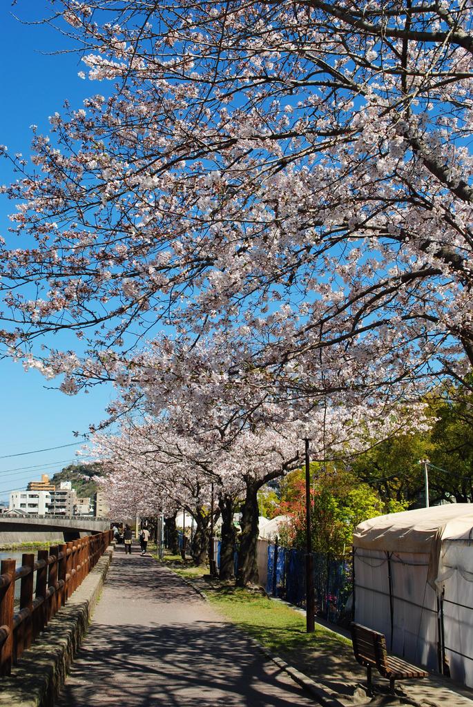 甲突川左岸·右岸绿地-4